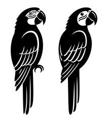 Two macaw parrots, a colorful and intelligent bird species from south america