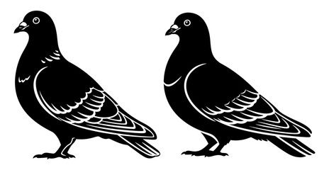 Illustration of a pair of pigeons, symbolizing peace, freedom, and communication