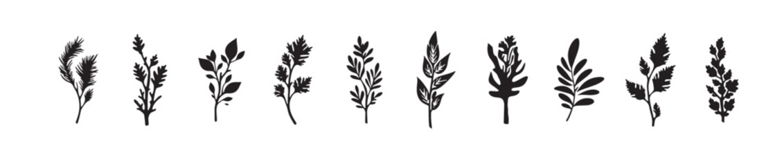 Flower botanical decorative outline spiral motion abstract geomatic shape texture energy swirl symbol company icon logo business vintage retro circle leaf fire water bird wing Vector illustration.