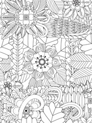 Lovely Floral Designs Coloring Book For Adults And Kids 