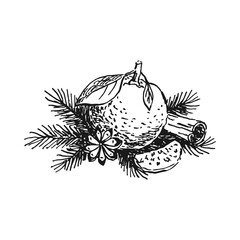 Festive christmas illustration with orange, cinnamon, pine branches. Hand drawn illustration.