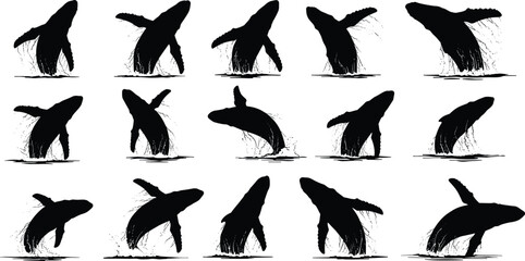 Whale breaching silhouette grid, humpback whale, dynamic motion, ocean leap, black figures, marine life, splash sequence, front back view, illustration