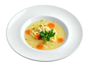 Chicken noodle soup in a white bowl, featuring carrots and parsley, against a dark background, overhead shot