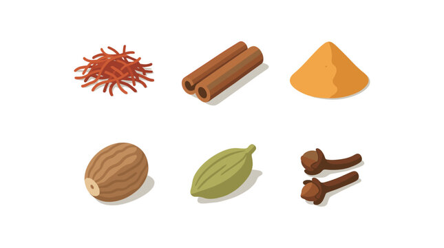isometric icon items isolated on white background spices saffron spices cinnamon bark spices turmeric powder spices nutmeg seed spices cardamom pod spices cloves bud