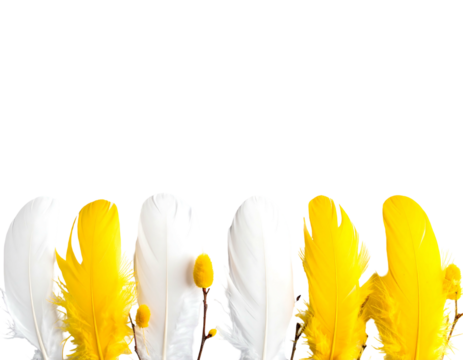 Array of white and yellow feathers, some with small flowers, against a stark black background, compositionally pleasing