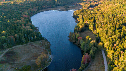 Aerial photography of water and forest with vibrant colorful autumn foliage near / around Acadia...