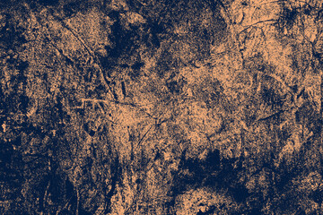 Close up texture of rough bark with warm sunlight highlights