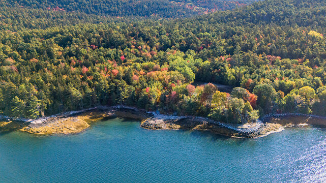 Aerial photography of water and forest with vibrant colorful autumn foliage near / around Acadia National Park	
