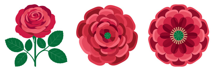 Red rose duo, layered rosette petals, classic romantic flowers, garden clipart, floral emblem set, decorative vector illustration