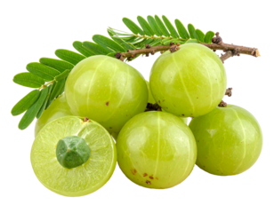 Close-up of green amla fruit with a branch and leaf. One amla is cut to show inside