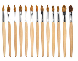 Collection of paintbrushes with wooden handles and different sized bristles arranged in a row against a black backdrop