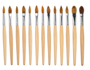 Collection of paintbrushes with wooden handles and different sized bristles arranged in a row against a black backdrop