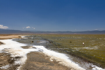 Salt deposits line the edge of the mineral-rich Lake Magadi within the Ngorongoro Crater, Tanzania, under a clear sky