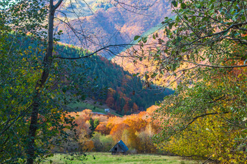 Autumn colors in Sadu, Romania
