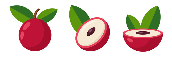 Lychee fruit trio, glossy red skins, cut halves with seed, lush leaves, exotic tropical icons, vector design