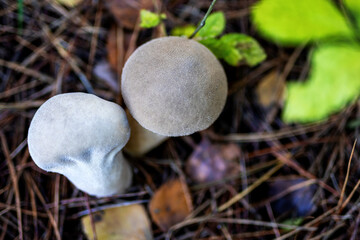 Jesień w naturze © Magdalena