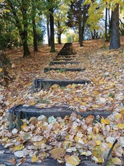 autumn in the park, stairs