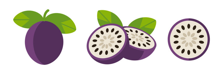 Purple tropical fruit with leaves, white speckled interior slices, exotic dessert ingredient, market produce icons, vector set