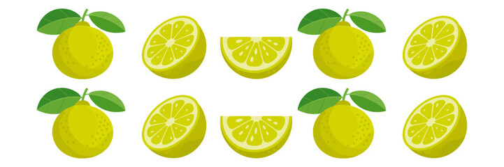 Lime assortment pattern, whole fruits with leaves, halves and wedges, repeating border set, refreshing citrus decoration vector