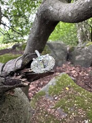 A vertical photo of a sparkling oval diamond engagement ring or wedding band resting on vivid green moss in a forest scene with natural light and luxury detail.