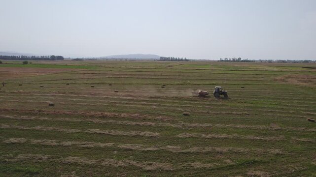 Hay Collecting Machine. The tractor collects dry hay in the field, the press presses the hay, work in the field. Tractor Working on Farm at Sunset Time.