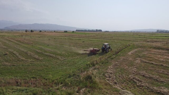 Hay Collecting Machine. The tractor collects dry hay in the field, the press presses the hay, work in the field. Tractor Working on Farm at Sunset Time.