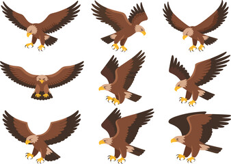 Fototapeta premium Flying eagle illustration set, powerful bird of prey vector, majestic raptor with open wings and sharp talons