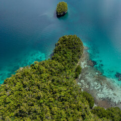 Aerial view of a vibrant blue lagoon surrounded by coral reefs and dense coastal jungle in Raja Ampat, Indonesia.
