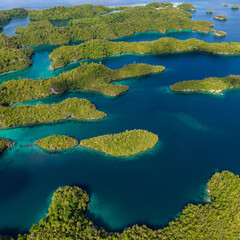 Raja Ampat. Indonesia. Aerial view of lush tropical islands and turquoise lagoons in ć, showcasing pristine nature and coral-rich waters.
