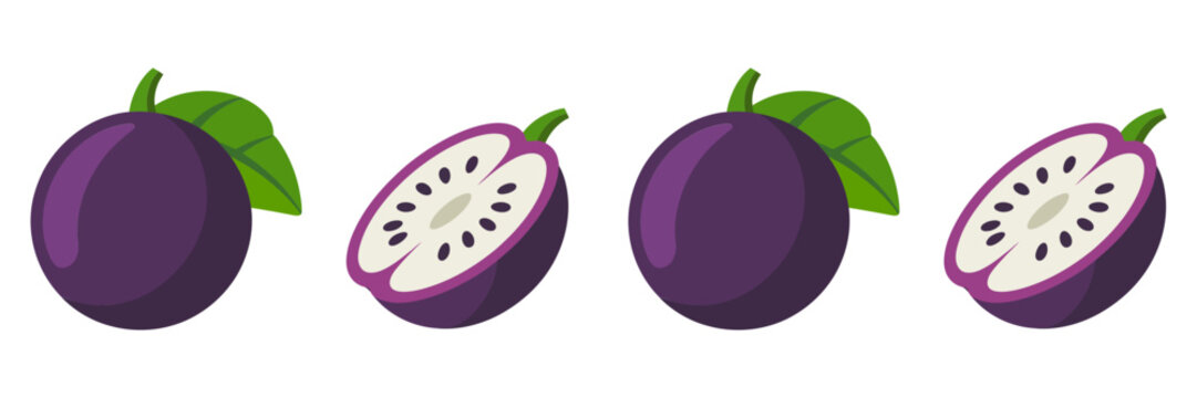 Purple star apple set, whole fruit with leaf, sliced halves showing star pattern, tropical orchard illustration, exotic vector