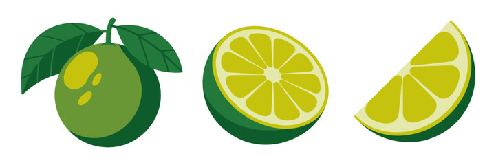 Green citrus fruit with leaves, lime whole and wedges, juicy slice illustration, fresh ingredient icons, vector set