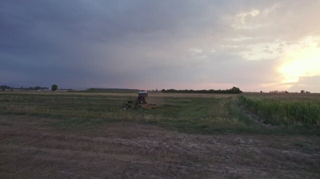 View from above of a tractor with a rake raking dry mown hay in a quiet calm evening. The farmer prepares feed in season. The concept of agribusiness