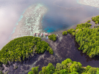 Aerial view of a vibrant blue lagoon surrounded by coral reefs and dense coastal jungle in Raja...