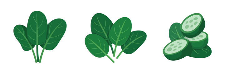 Spinach leaf collection with cucumber slices, garden salad components, green superfood elements, nutrition themed clipart, clean vector
