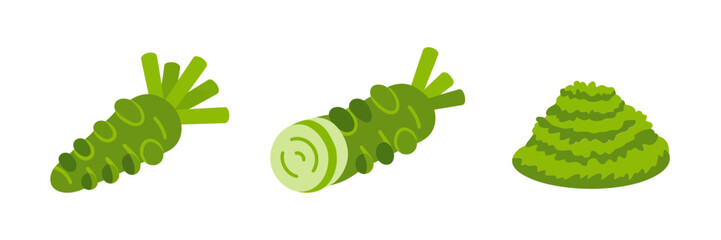 Fresh wasabi pieces, knobby green root with slices, spicy paste swirl, condiment illustration, japanese flavor garnish vector