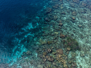Aerial view of a coral reef beneath clear turquoise waters in Raja Ampat, Indonesia, showcasing vibrant marine life and shallow sea formations.  

