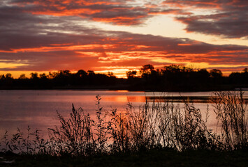 Jesienny, pomarańczowy wschód słońca nad stawem, tapeta. © mycatherina