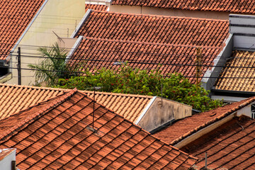 Rooftops of Brazilian urban houses with traditional ceramic tiles, showing the warm colors and compact architecture typical of residential neighborhoods in Brazil.