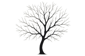 Bare tree silhouette with sprawling branches, symbolising winter, nature, growth, and the cycle of life on transparent background