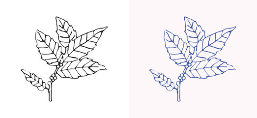 Organic hand drawn coffee leaves in black and blue, ideal for coffee branding and nature inspired designs.