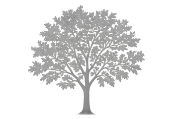 Winter tree with white leaves on transparent background symbolizing nature, season, and growth
