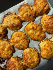 Baked chicken patties with melted cheese and herbs