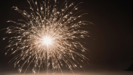 Naklejka premium Explosion of Light - A Captivating Display of Fireworks Against the Night Sky.