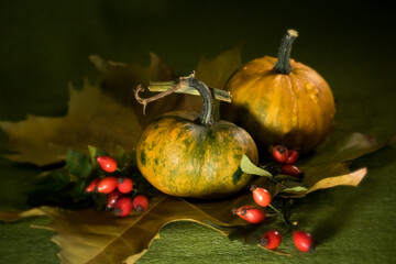 The splendor and vibrant autumn colors, pumpkin, rusty leaves and red rose hips