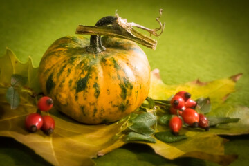 The splendor and vibrant autumn colors, pumpkin, rusty leaves and red rose hips