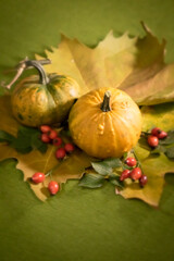 The splendor and vibrant autumn colors, pumpkin, rusty leaves and red rose hips