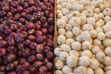 Fresh red and white onions on a market stall