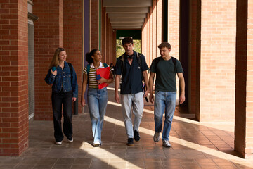 Diverse students walking on campus discussing university life