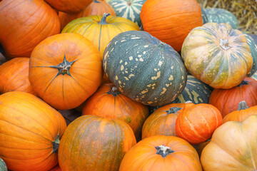 Pile, stack of assorted green and orange pumpkins close up. Autumn harvest concept with colorful various shapes and sizes squashes and gourds background. Thanksgiving, gardening, and organic farming.