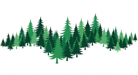 Obraz premium Evergreen trees create a dense forest border on a white background illustration